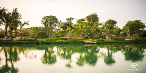 Hình ảnh dự án Ecopark Bến Lức Long An 4