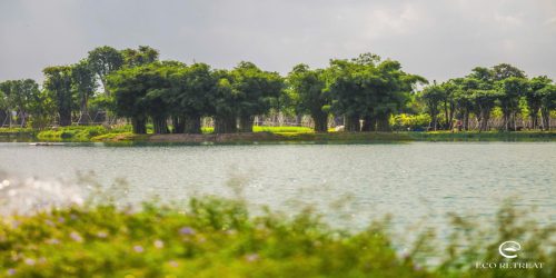 Hình ảnh dự án Ecopark Bến Lức Long An 6