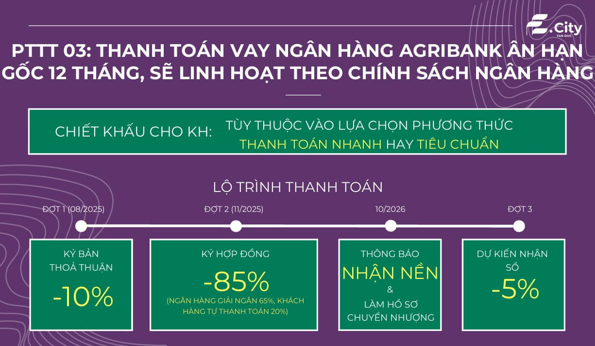 Chính sách thanh toán E City Tân Đức 3