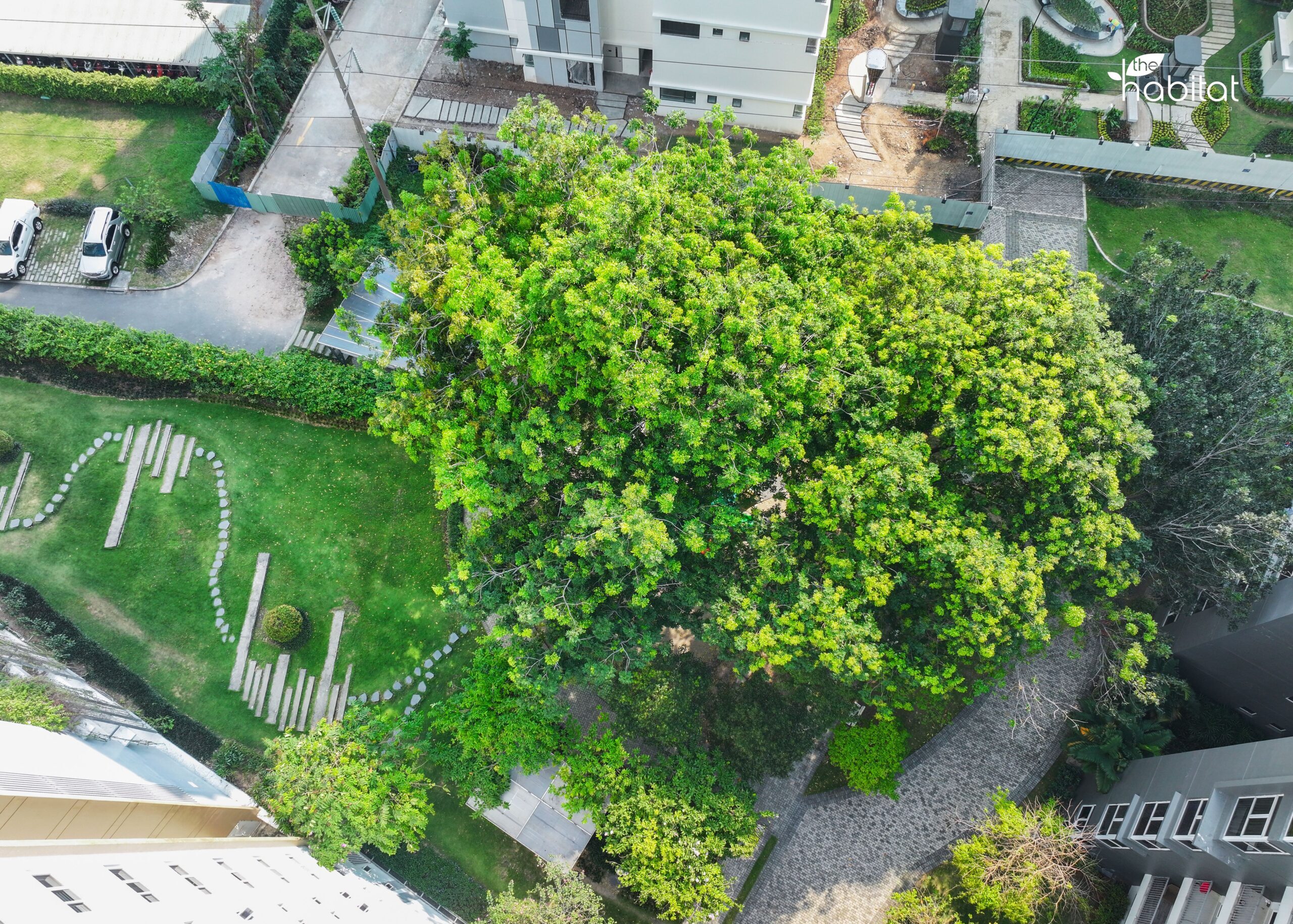 thuc-e-the-habitat